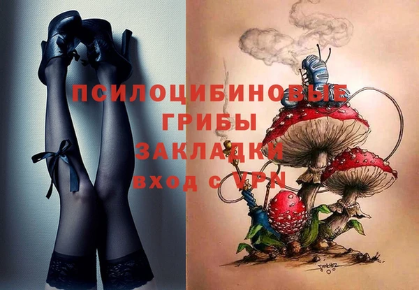 крисы Алексеевка