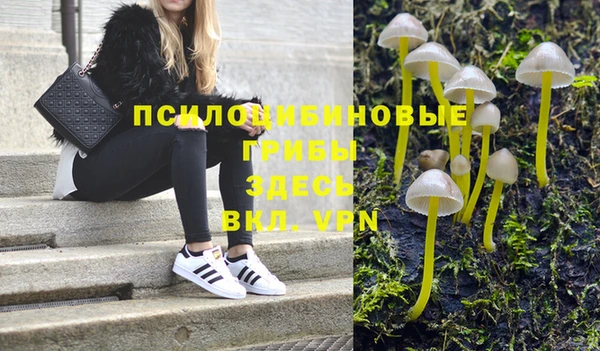 шишки Няндома
