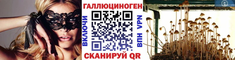 что такое   Белоозёрский  Галлюциногенные грибы Psilocybe 
